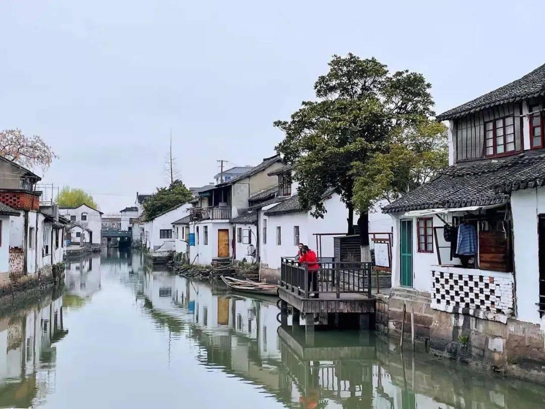 逃出小象森林